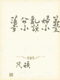 荡公乱妇第51章小说小莹