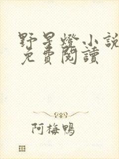 野星灯小说全文免费阅读