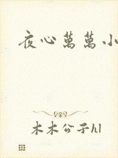 夜心万万小说