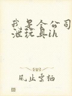 我是全公司的发泄玩具ih