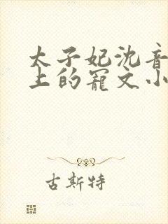 太子妃沈音和皇上的宠文小说