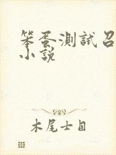 笨蛋测试召唤兽小说