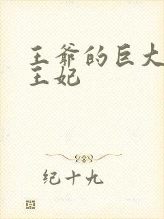 王爷的巨大进入王妃