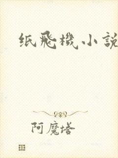 纸飞机小说