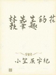 林先生的花式管教笔趣