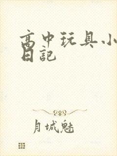 高中玩具小诗的日记