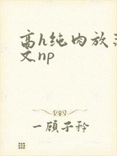 高h纯肉放荡h文np