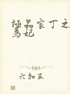 极品家丁之册母为妃