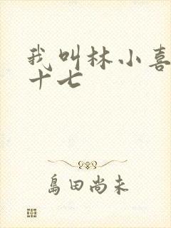 我叫林小喜今年十七