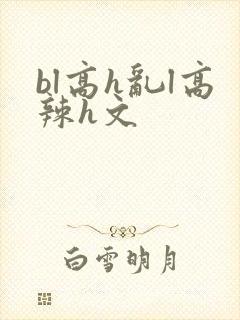 bl高h乱l高辣h文