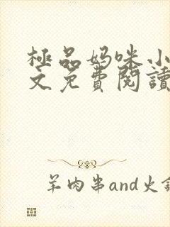 极品妈咪小说全文免费阅读