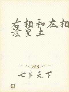 右相和左相一起淦皇上