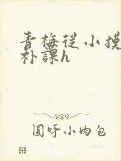 青梅从小摸到大补课h