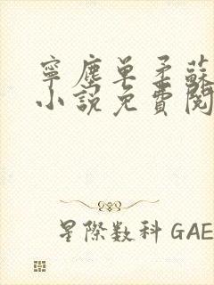 宁尘单柔苏千雪小说免费阅读最新