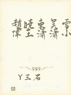 赵晓东吴雪晴郑伟王潇潇小说