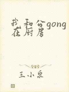 我和公gong在厨房