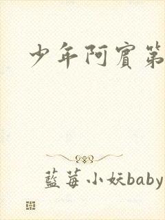 少年阿宾第二部