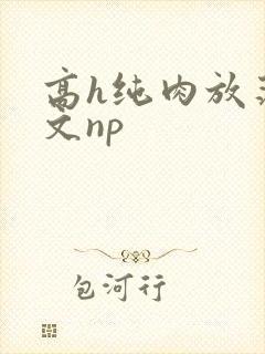 高h纯肉放荡h文np