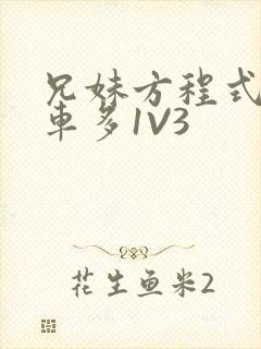 兄妹方程式多R车多1V3