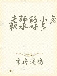 老师的小兔子好软水好多