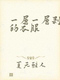一层一层剥开我的衣服