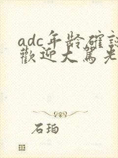 adc年龄确认欢迎大驾光临小说