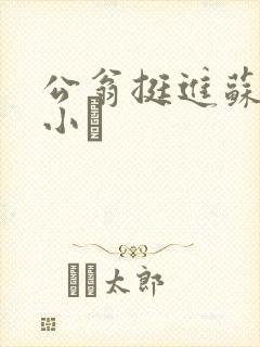 公翁挺进苏玥的小泬