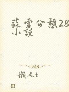 苏雪公憩28篇小说