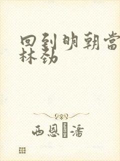 回到明朝当王爷林劲