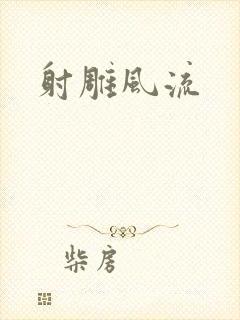 射雕风流