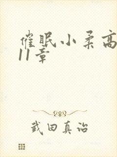 催眠小柔高达第11章