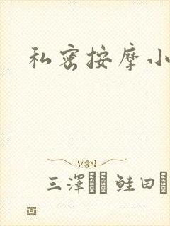私密按摩小说
