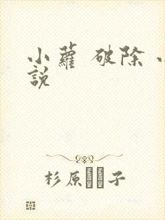 小萝 破除 小说
