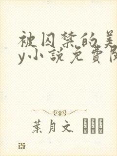 被囚禁的美人by小说免费阅读