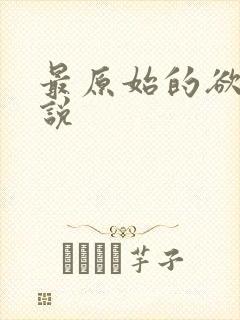 最原始的欲望小说