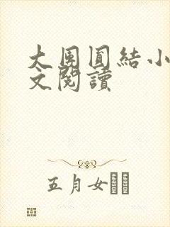 大团圆结小茹全文阅读