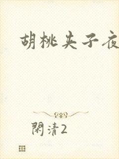 胡桃夹子夜未眠