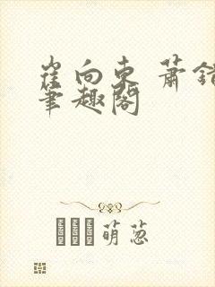 崔向东 萧错 笔趣阁