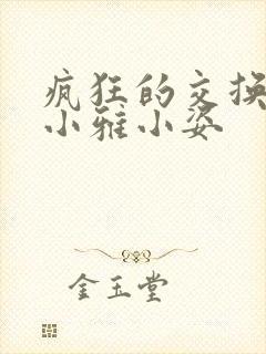 疯狂的交换小静小雅小姿