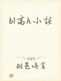 bl高h小说