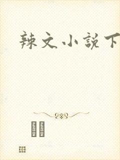 辣文小说下载