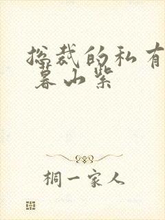 总裁的私有宝贝 暮山紫