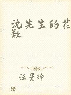 沈先生的花式调数