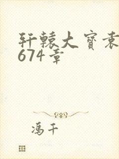 轩辕大宝袁雪妃674章