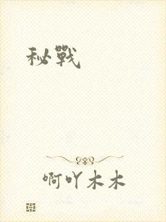 秘战