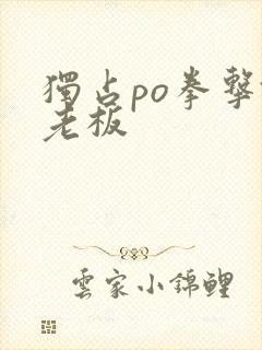 独占po拳击馆老板