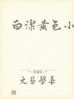 白洁黄色小说
