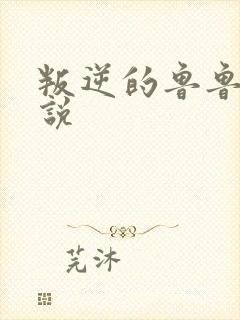 叛逆的鲁鲁修小说