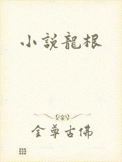 小说龙根