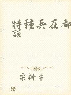 特种兵在都市小说